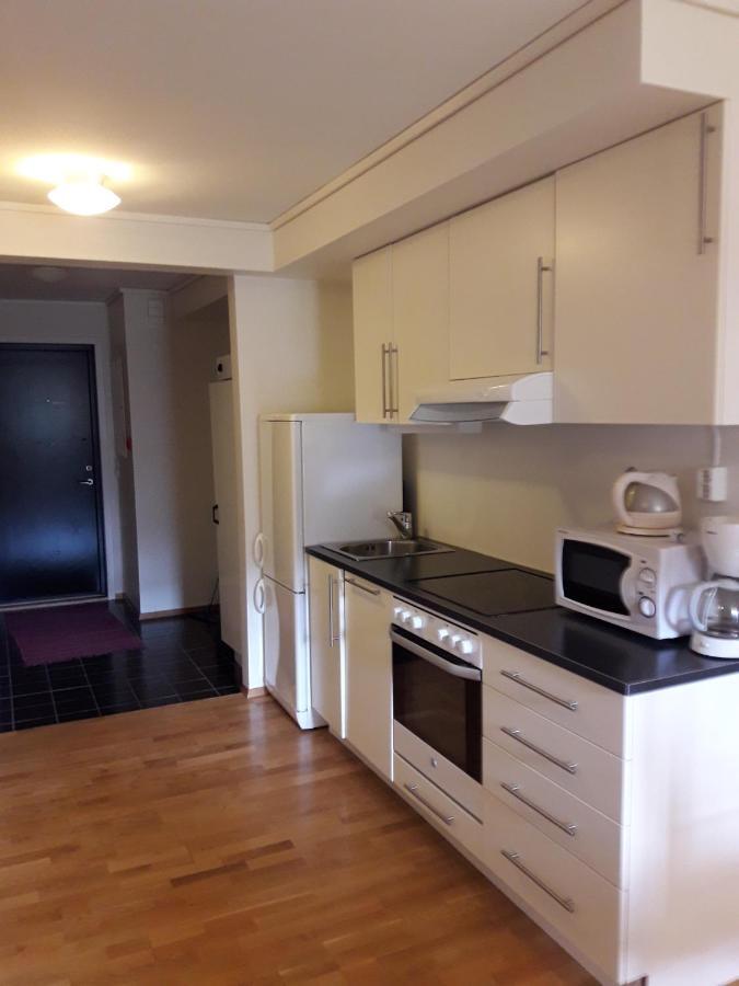 Apartement Roldal Alpingrend 外观 照片