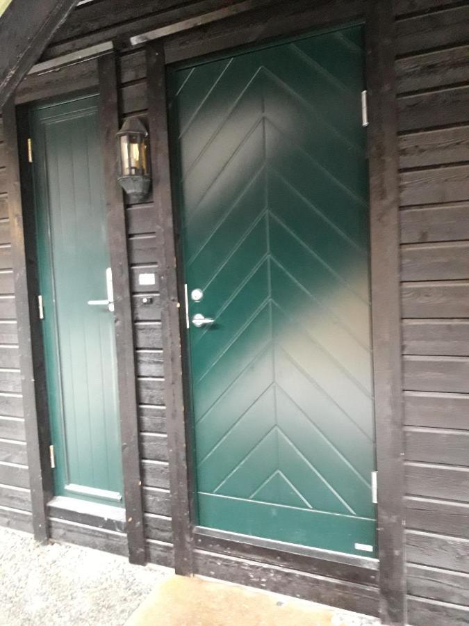 Apartement Roldal Alpingrend 外观 照片